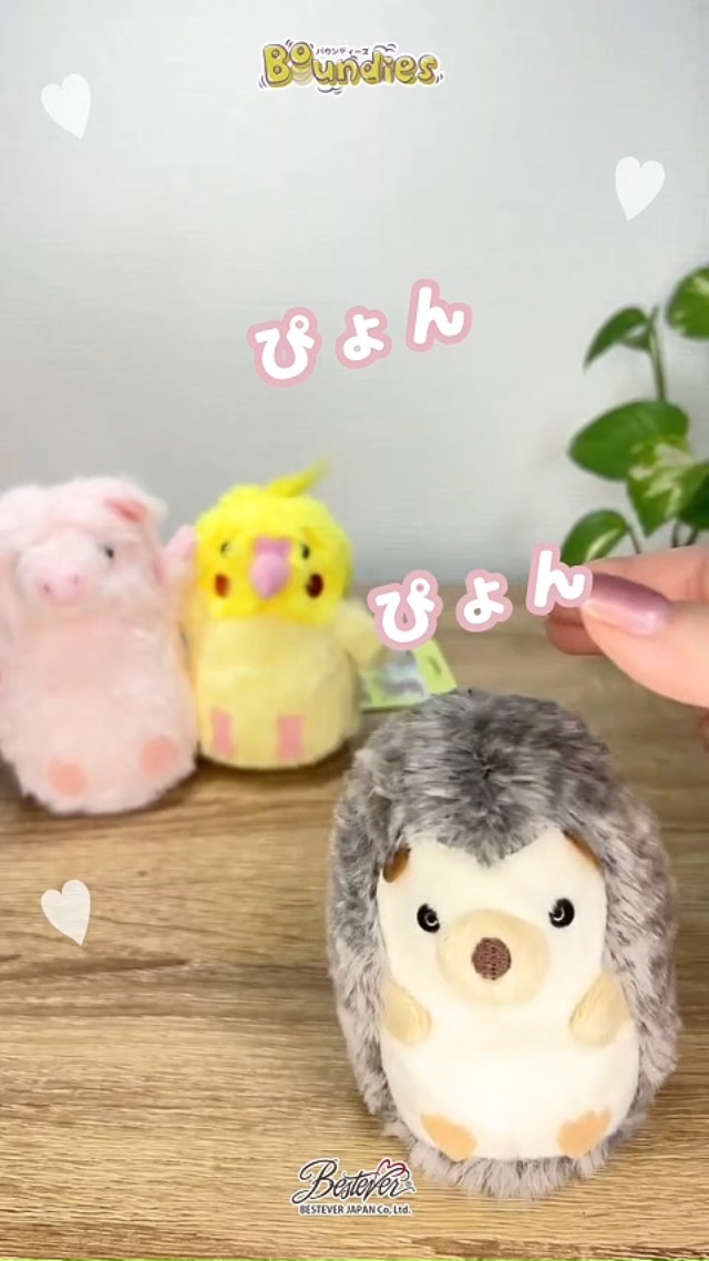 Amazon.co.jp: 【BESTEVER】バウンディーズ Boundies スクイーズ